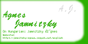 agnes jamnitzky business card